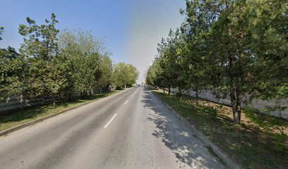 Aila Strada Republicii 99