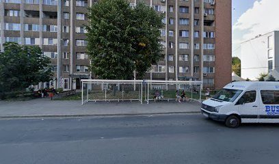 Angi Alina PFA Bulevardul Republicii 1