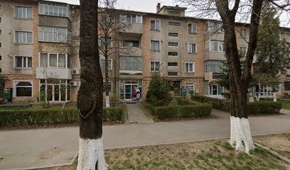 Brother salon Strada George Enescu 2