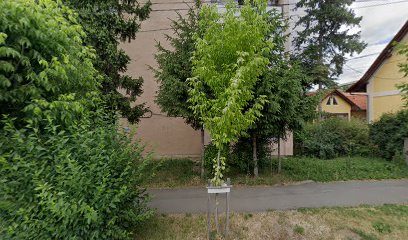 Bunny's Beauty Strada Uzinei 6A/2