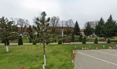 Carcea Concept Salon Recaș