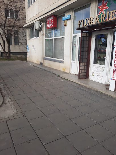 Figaro Botoșani