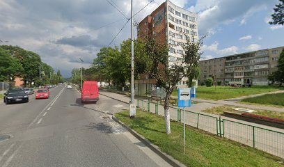 Floare De Colt Petrosani Bulevardul Mihai Viteazul 9