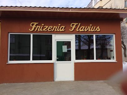 Frizeria Flavius Strada Izbiceanu