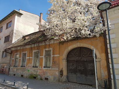 Frizeria Opera Strada Baba Novac 24