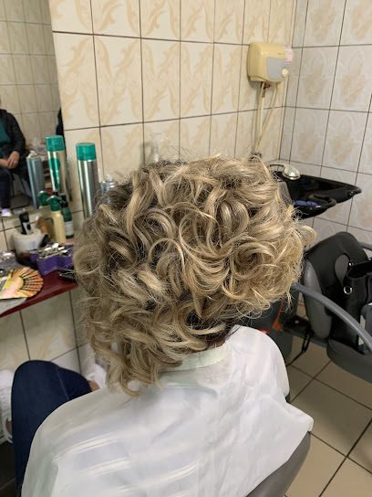 Furculescu Beauty Salon Camin Nefamiliști