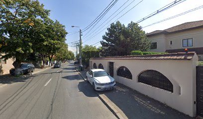 MATEI RODICA Strada Tudor Vladimirescu 29