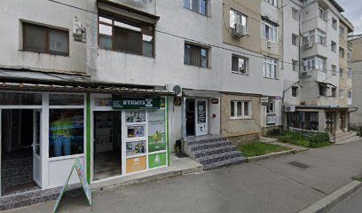 Mach III Huși 735100