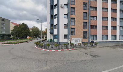 Manichiura - Pedichiura Cisnadie Strada Transilvaniei 1
