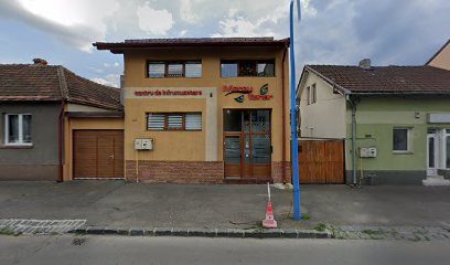Mereu Tânăr Strada Codrul Cosminului 105