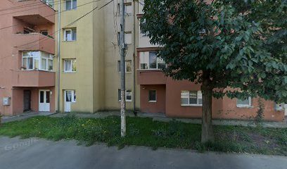 Narcis Studio Strada Partizanilor P5