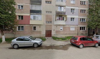 PiciHair Salon Strada Ovid Densușianu 6