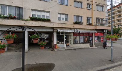 Salon Adriana Strada Gib Mihăescu