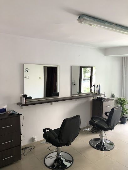 Salon Camelia Intrarea Eleodor Constantinescu nr1