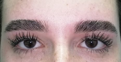 Salon Intrarea Traian Vuia