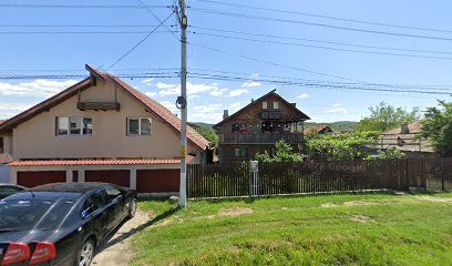 Salon sorina Strada Principală 133