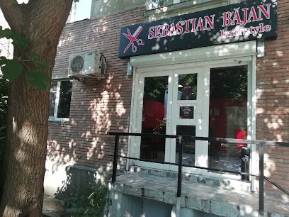 Sebastian Bajan Hairstyle Șoseaua Virtuții 10
