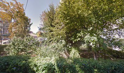 Selim Orient Unnamed Road