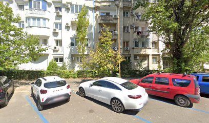 Teo Strada Grigore Alexandrescu 7