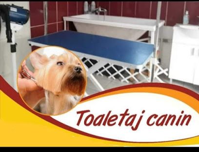 Toaletaj Canin Sancraiu De Mureș Str. Principala