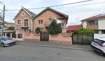 masaj oradea Strada Vavilov 3